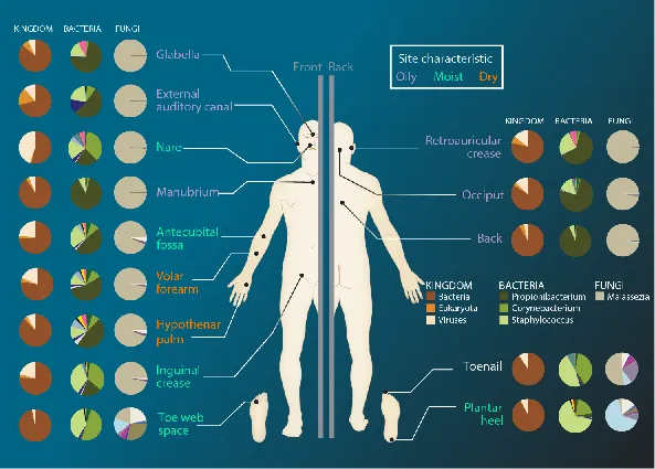 Human Microbiome Sites