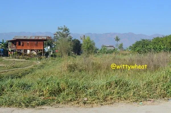Inle1.jpg