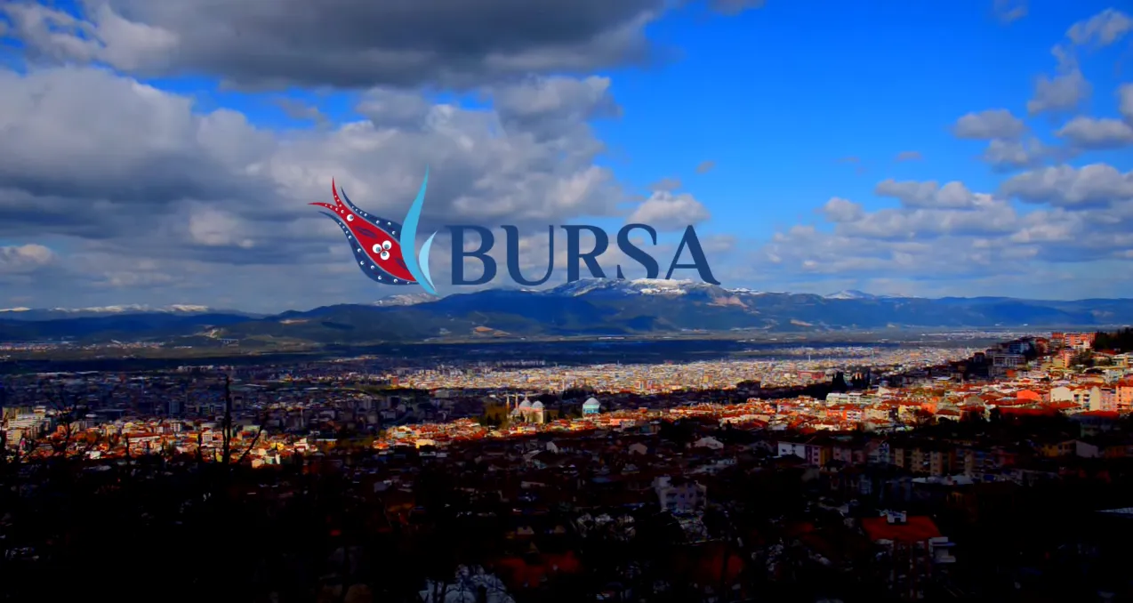 Bursa.png