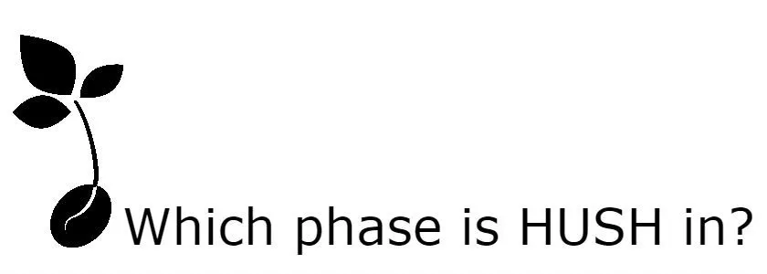 Phase