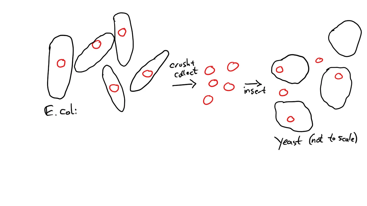 trafo.png