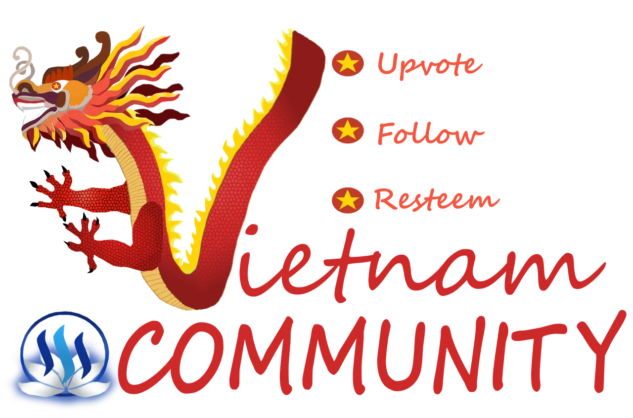 viet2.png