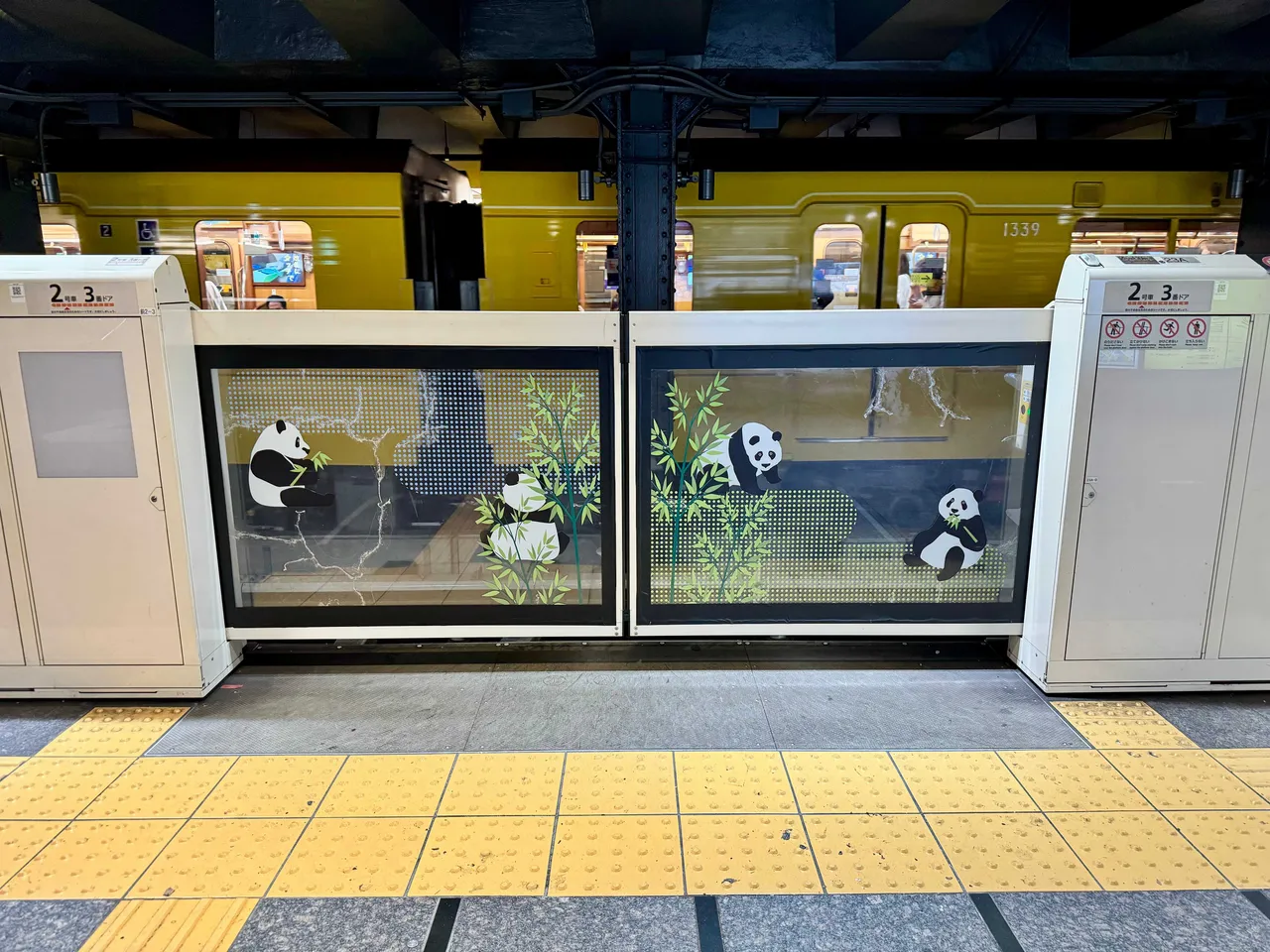 cute panda of ueno