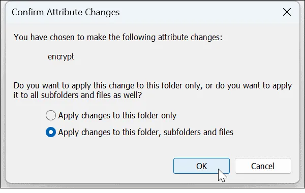 5-choose-data-to-encrypt
