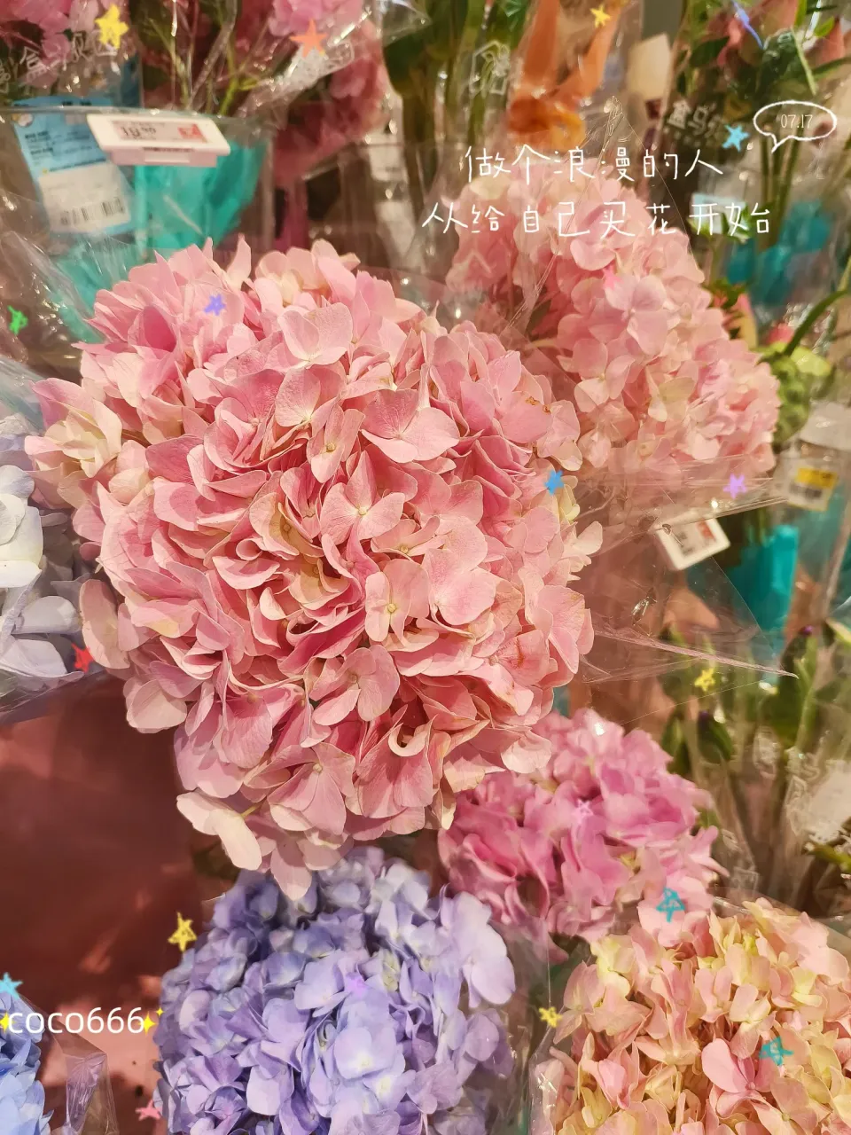 EXgssyuu2jQwmCw8_MEITU_20250717_181409506_batch_2_1752747304534.webp
