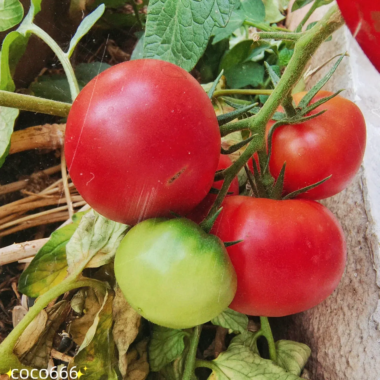 PjnC5aRb4VEO1l9N_MEITU_20250622_191528259_batch_3_1750590985697.webp