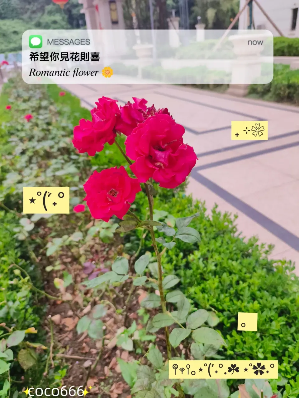 la6KYZmvRFl6L1hr_MEITU_20250620_231857411_batch_3_1750432780820.webp