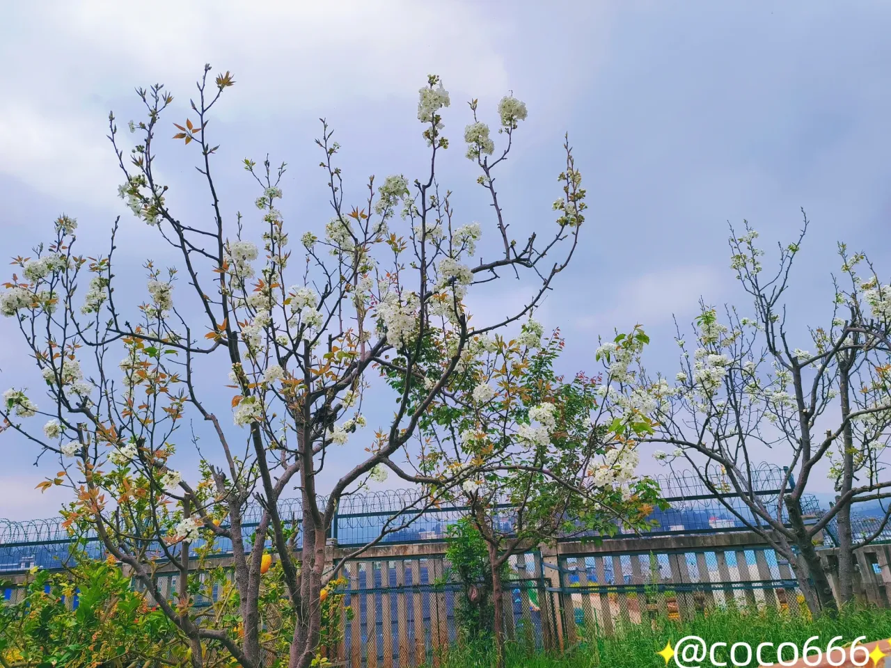 vo6O8sgSst6JAYYe_MEITU_20250322_223358683_batch_1_1742654119241.webp