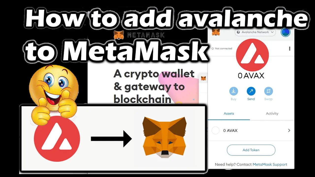 How to Add Avalanche Network to MetaMask Wallet by Crypto Wallets Info copy.jpg