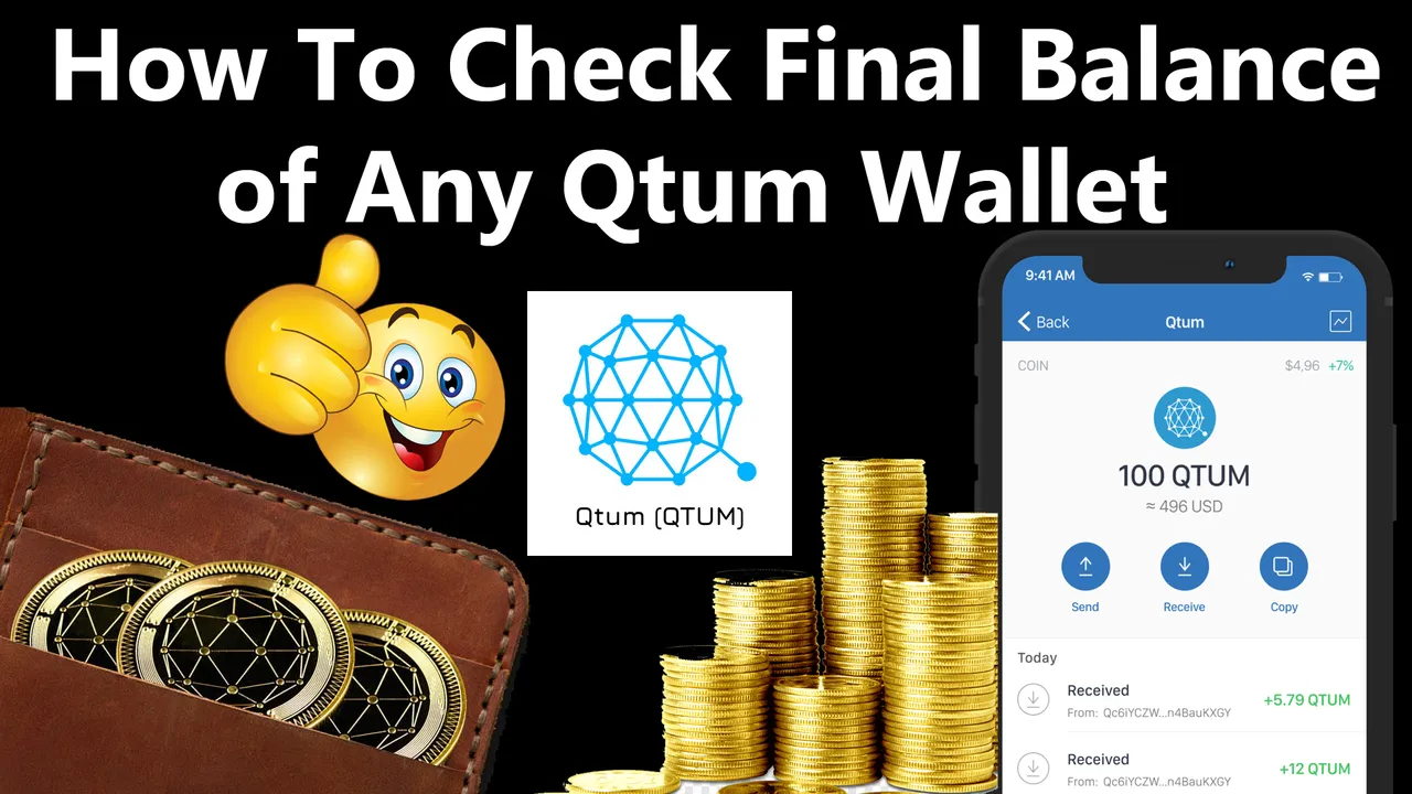 How To Check Final Balance of Any Qtum Wallet By Crypto Wallets Info copy.jpg
