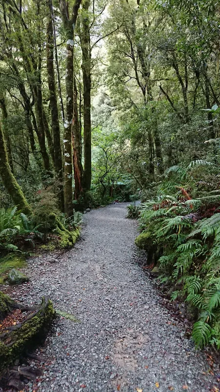 See if you can hear the native birdsong as you walk through