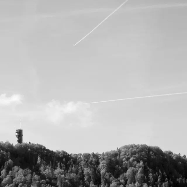 DSCN5456