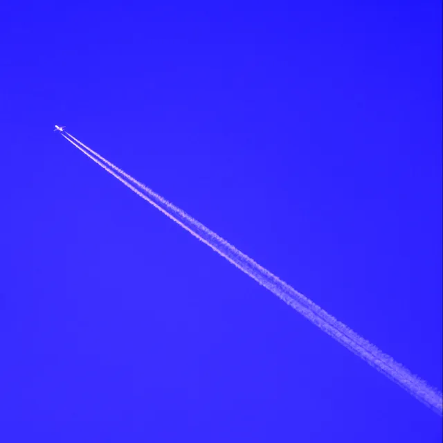 DSCN5443