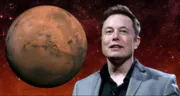 musk