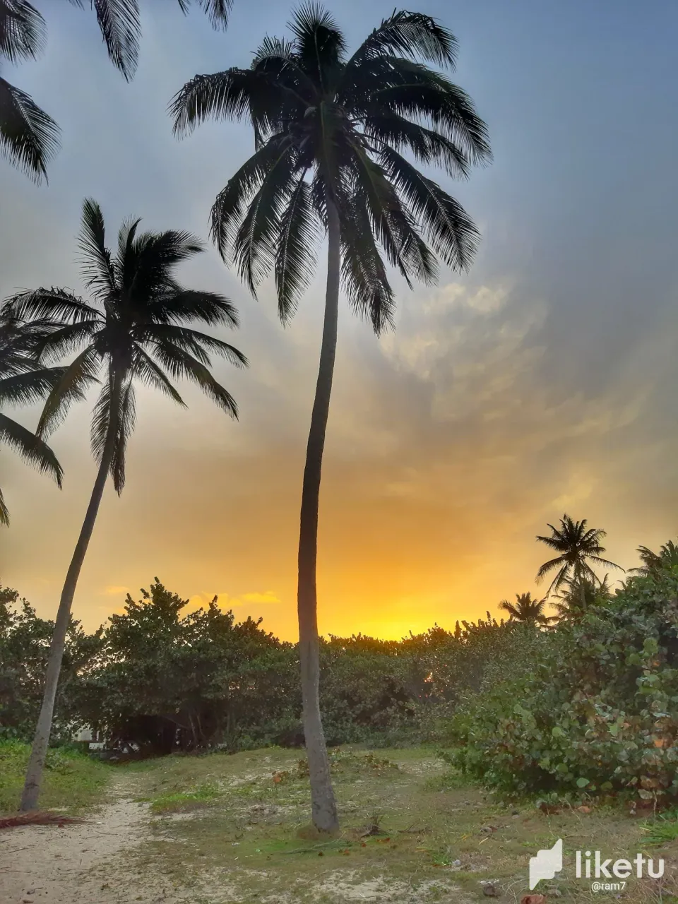 clryavojs004o5ssz4ruobgfx_20240126_180139-01.webp