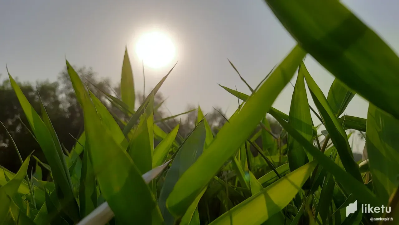 clhrx2j9l00ujbdszb3rvcujm_20230513_071752.webp