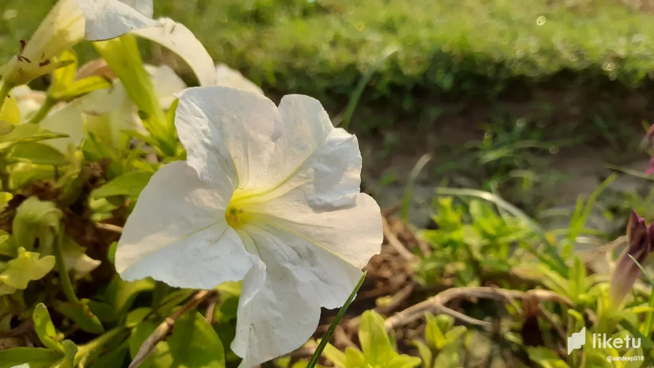 clhrx325c00re6wsz1c64bc31_20230513_071617.webp