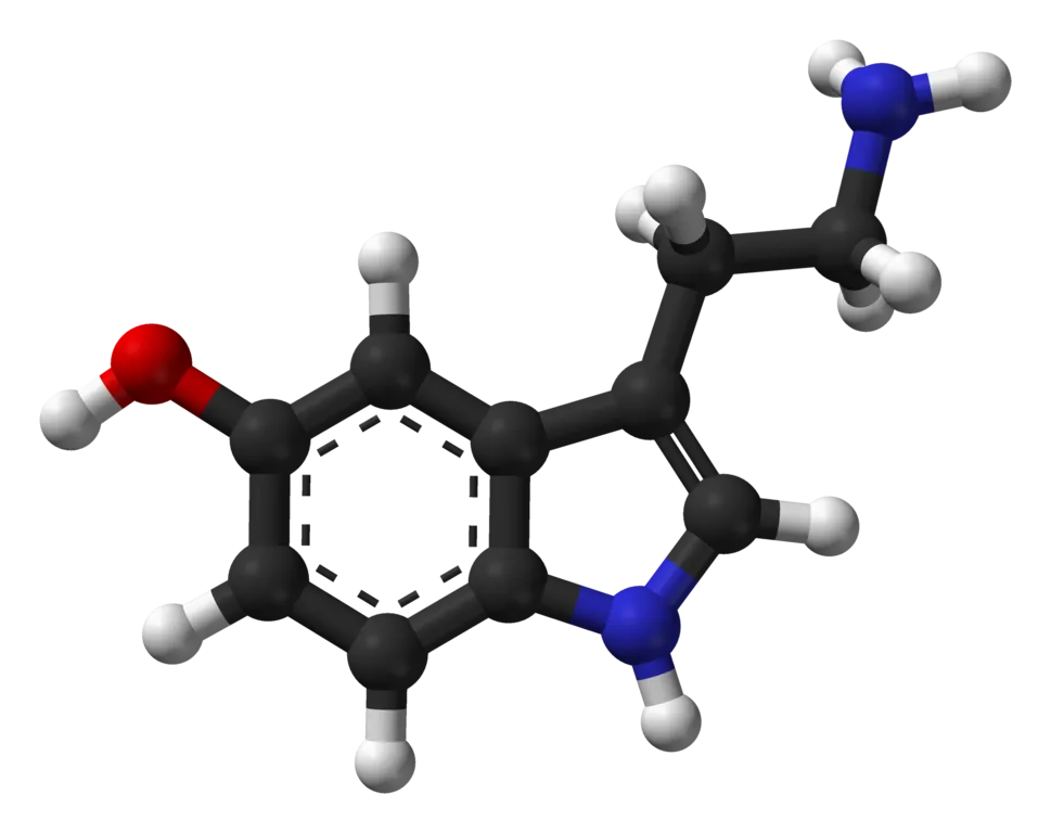969px-Serotonin-Spartan-HF-based-on-xtal-3D-balls-web.png