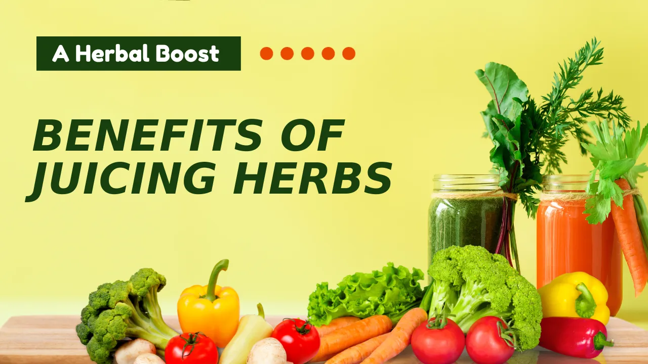 Benefits of Juicing Herbs A Herbal Boost