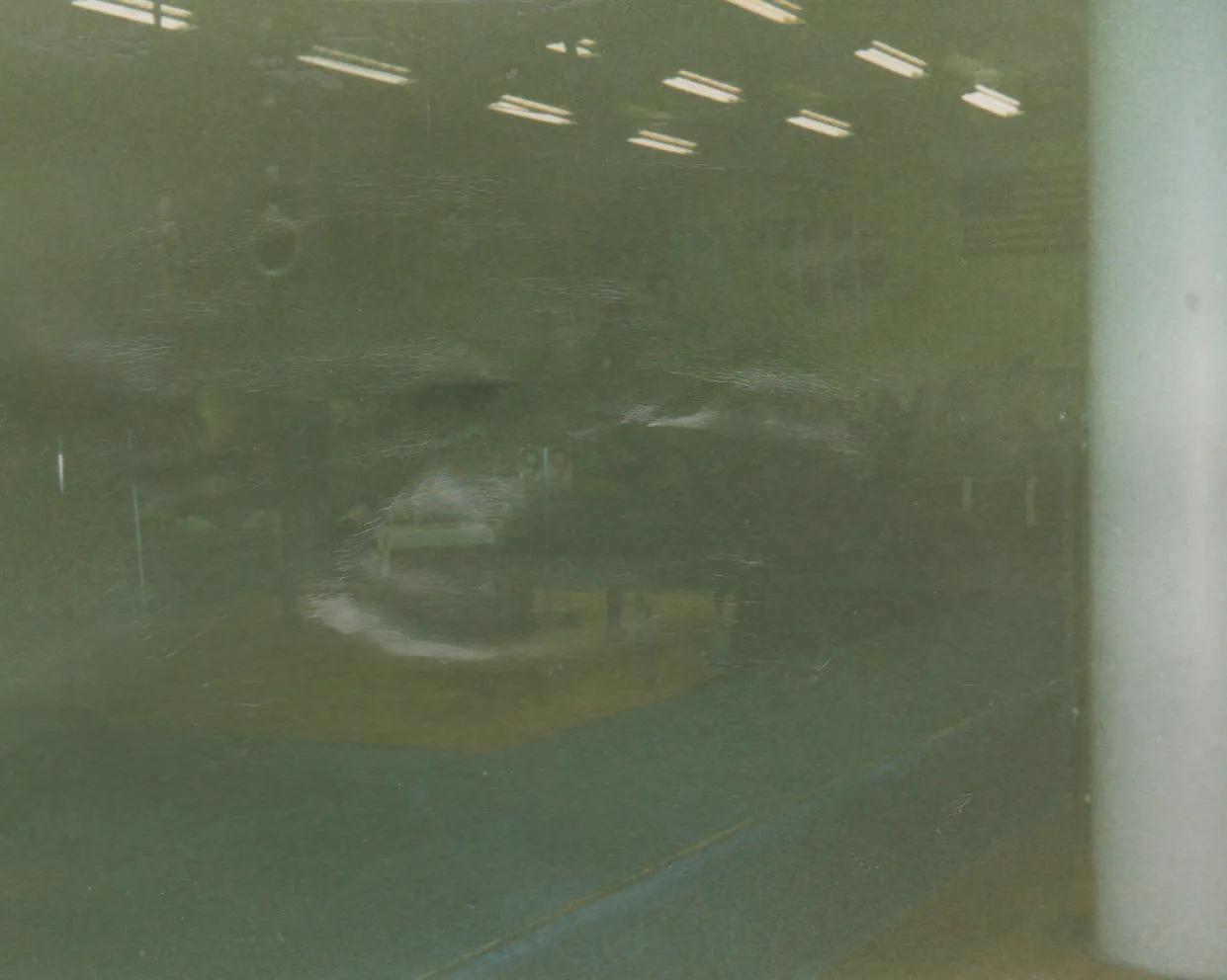 1986 maybe - Katie Gymnastics - Lights, dark.png