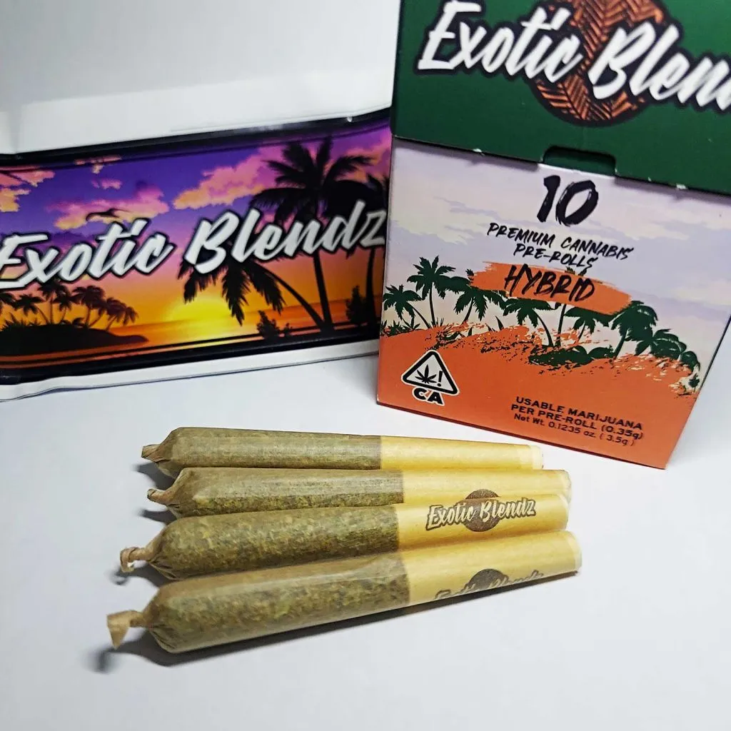 Sherb Crasher Strain