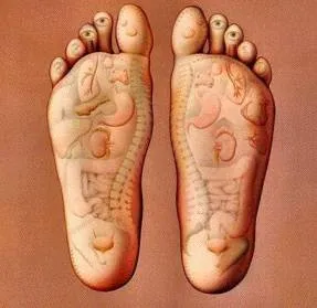 xfoot_reflexology.gif.pagespeed.ic.R7z8HxLgmv.jpg