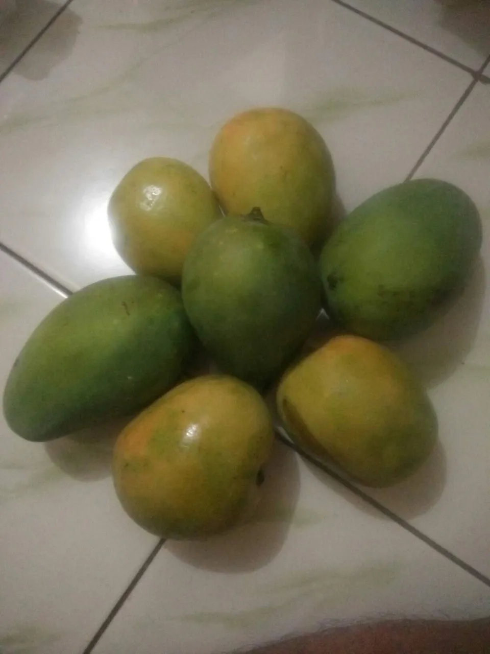 https://s3.us-east-2.amazonaws.com/partiko.io/img/muhibpaya2-harvest-mango-in-my-garden-panen-mangga-di-kebun-sendiri-1531584101569.png