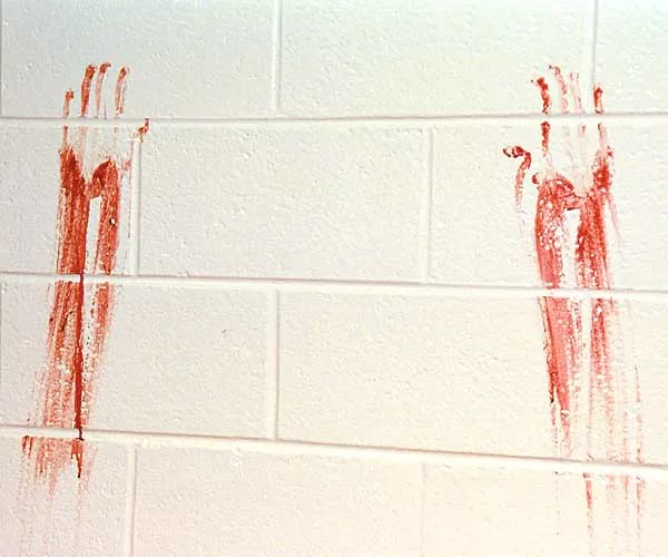 bloody handprints - australian police forensics.jpg