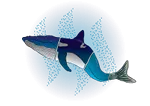 DQmQLUFKSZ9XRTsvrjsCLVKMKVh4UJu8djusisQME6jFuAq_1680x8400.png