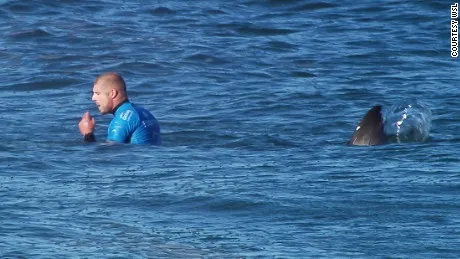 150719125326-02-wsl-shark-attack-mfanning-1-jpg-large-169.jpg