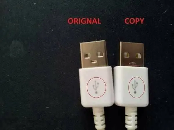 DQmYNcNZqSYi8TLdD8zp7R8KYWjtYGko6EEBizGnwDv9fTY_1680x8400.jpg