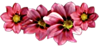 DQmVo1edsYZLYYZVibPuJkYADUcaM3Y5AF2cNG9sR1J1Tse_1680x8400.png