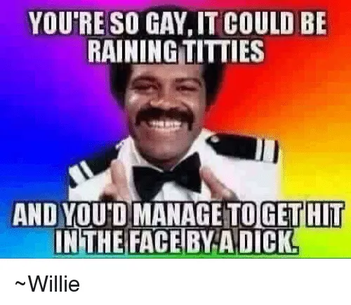 youre-so-gay-it-could-be-raining-titties-and-you-13602262.png