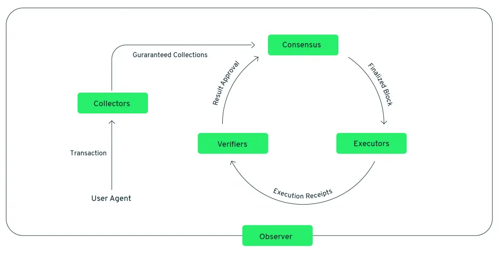 Flow Diagram blockchain collector consensus verifier executors observer