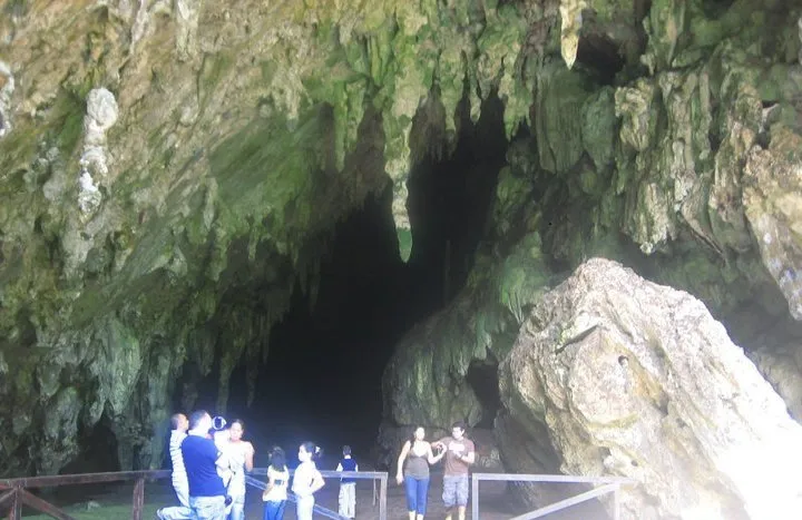 Guacharo 7.jpg