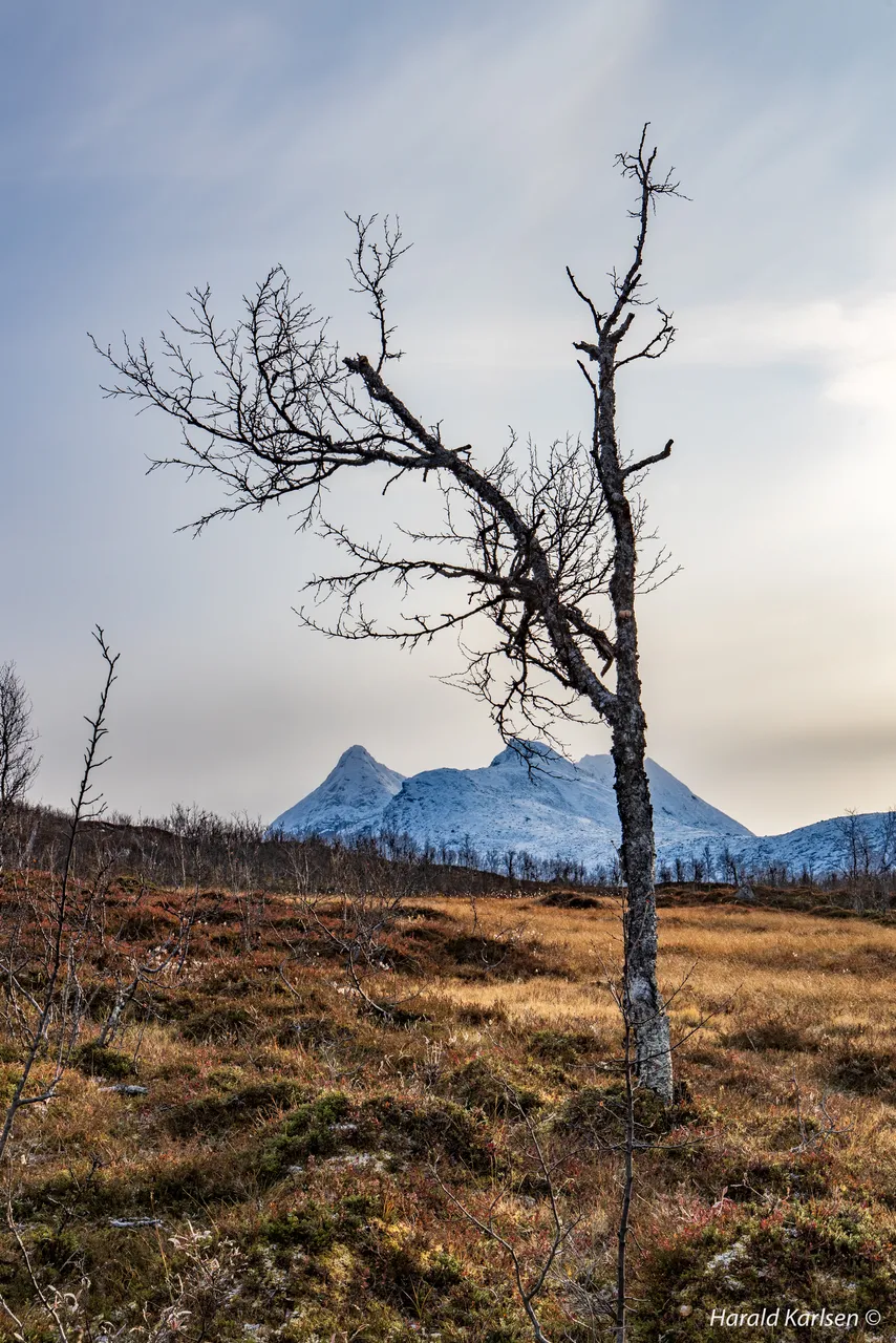 Rødtinden-8.jpg