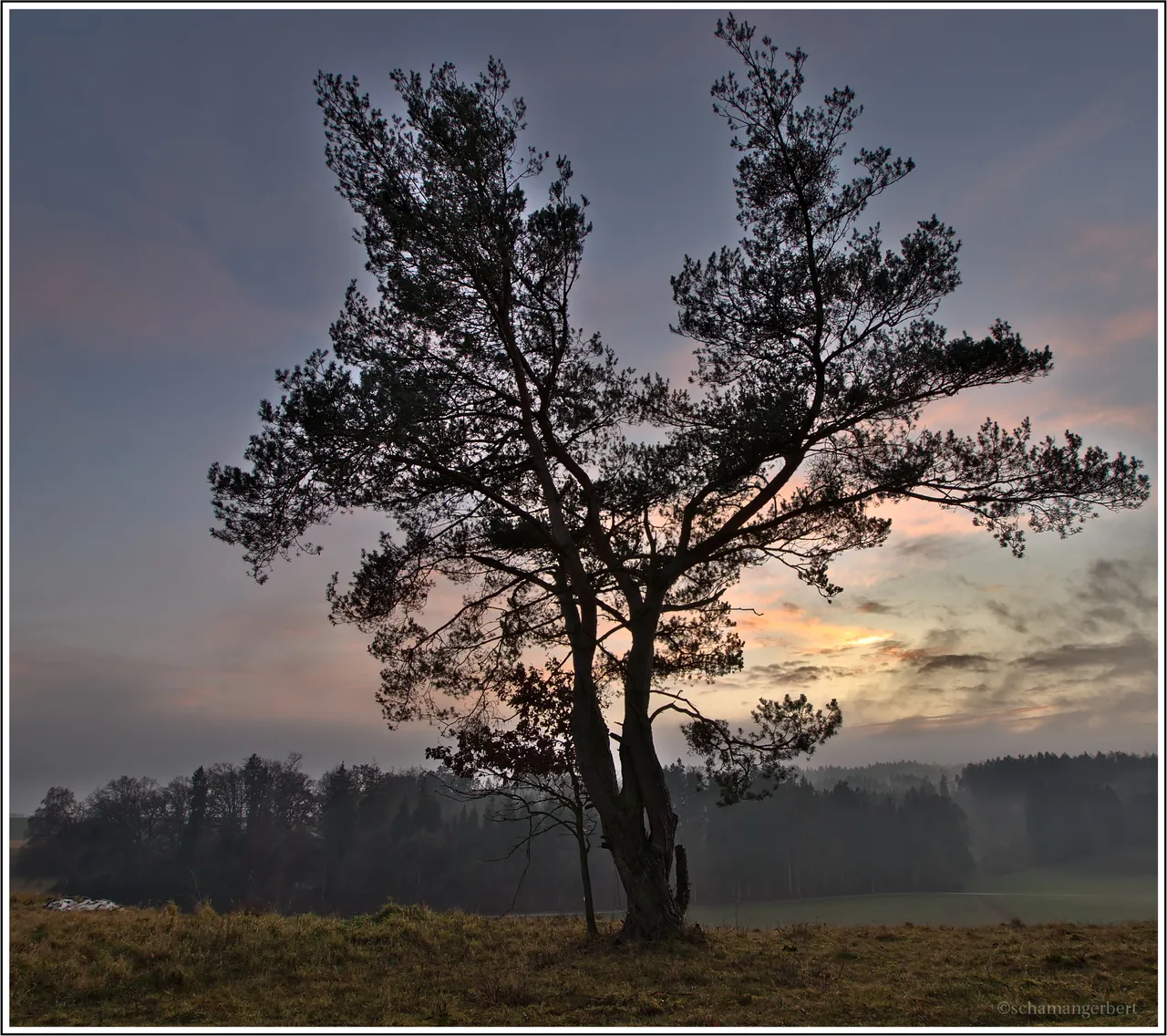 IMG_1489-hdr.jpg