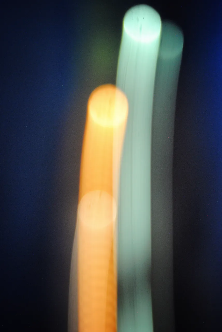 DSC_0592-01.jpeg