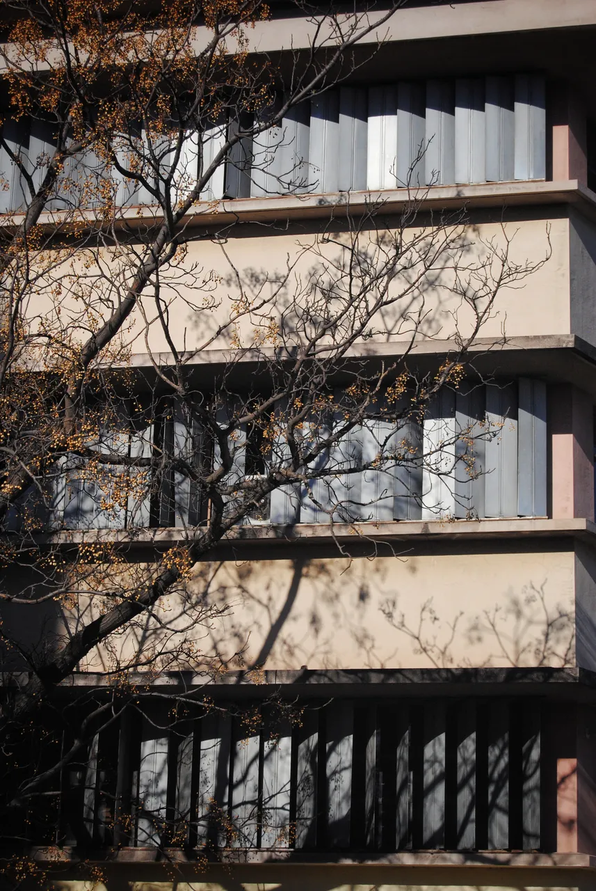 DSC_0020-01.jpeg