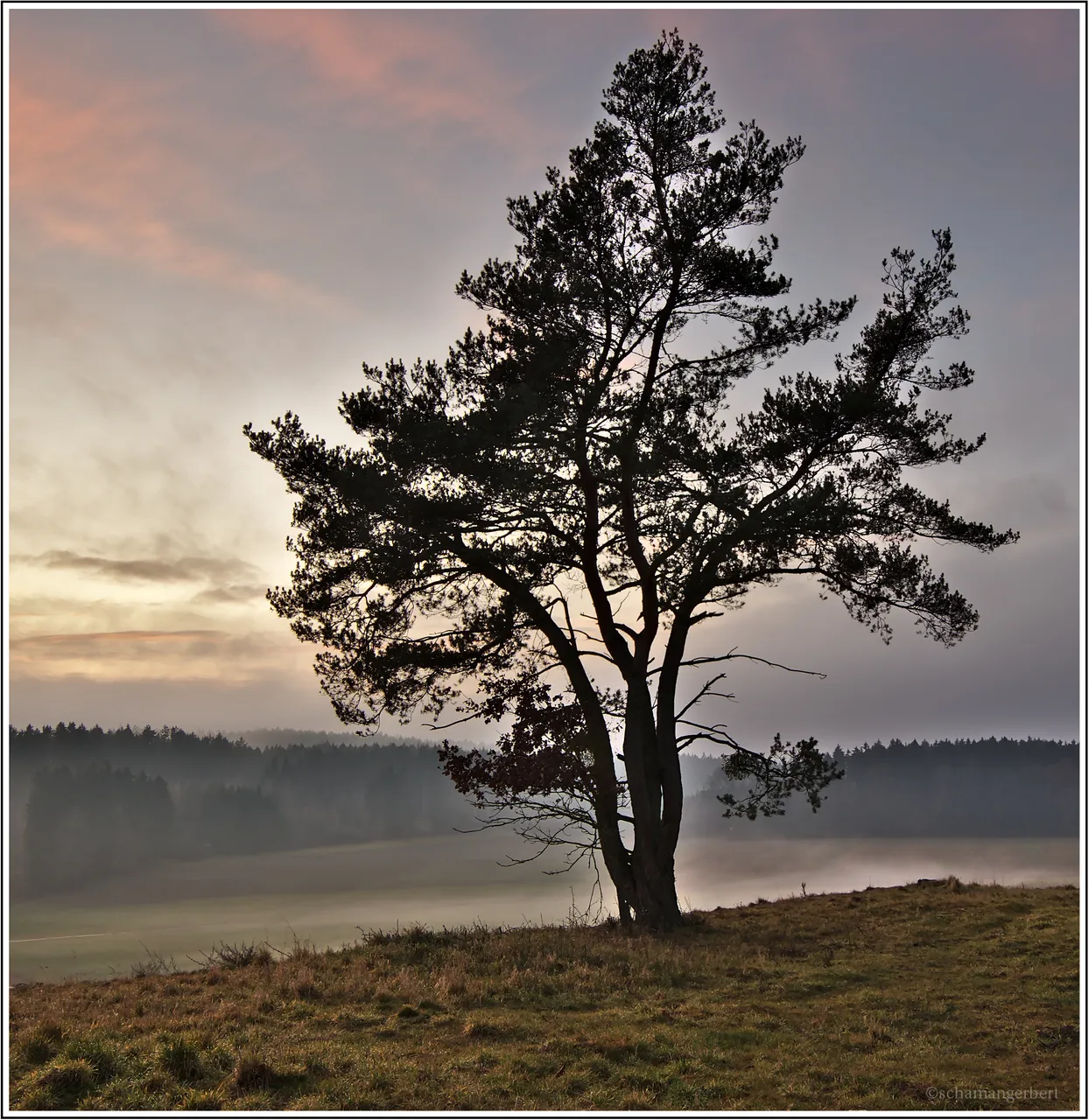 IMG_1496-hdr.jpg