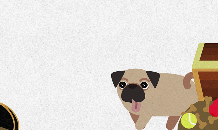dog pirate.gif