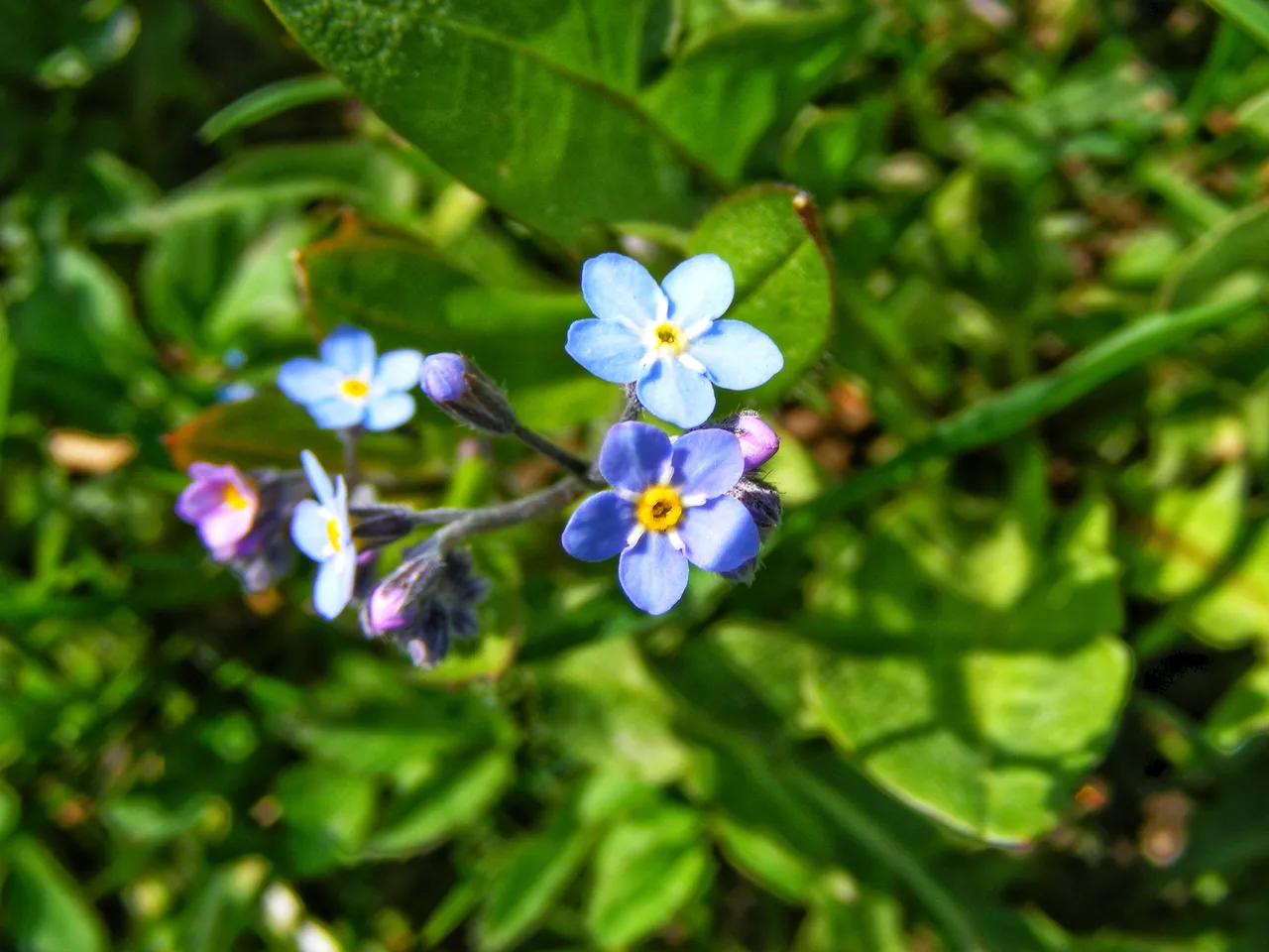 DSCF6135-01.jpeg