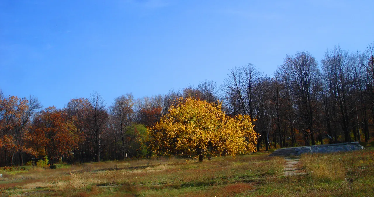 DSC00028-222.jpg