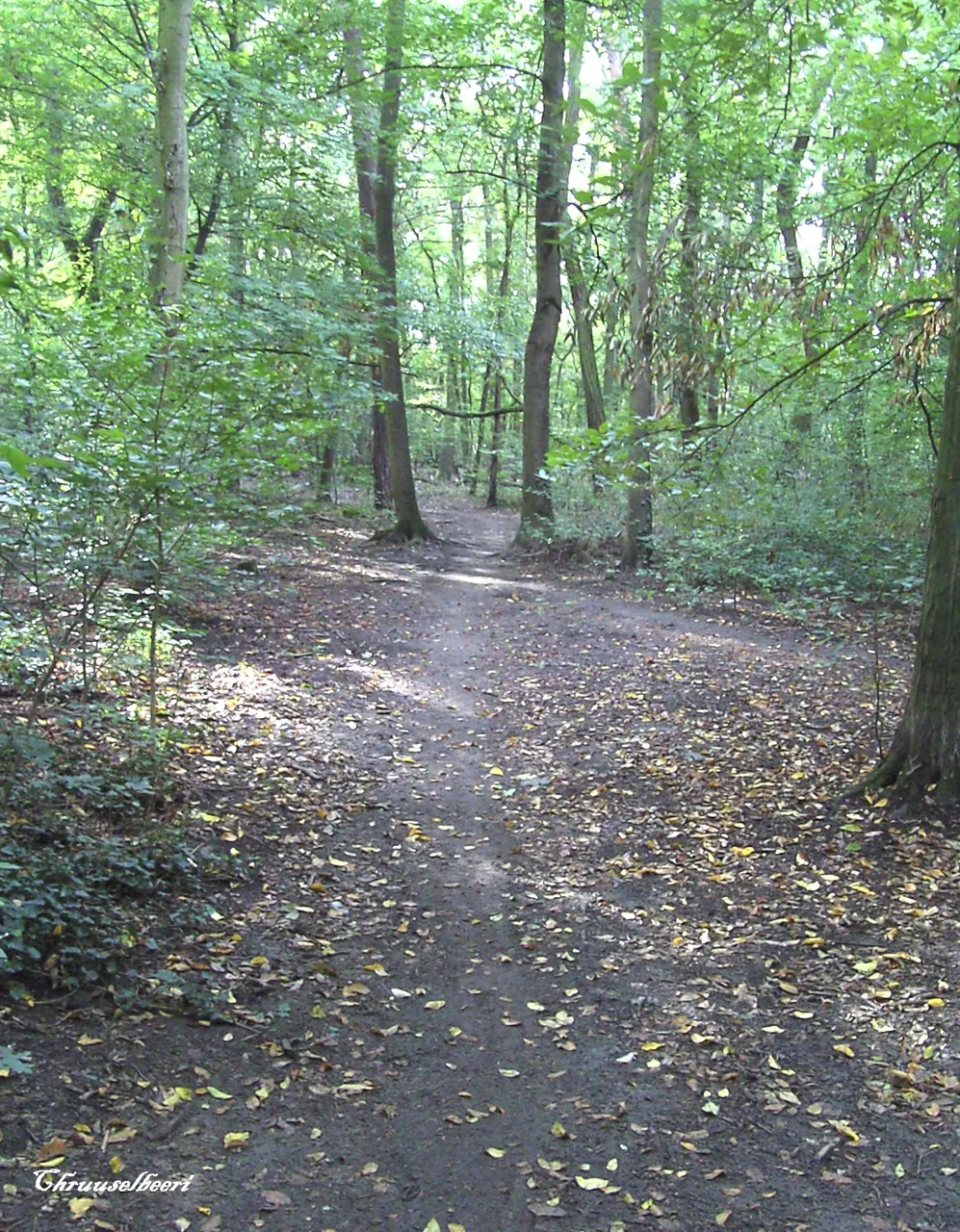 Wanderung_07.jpg