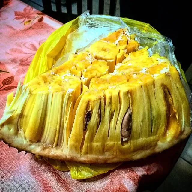 Jack Fruit.jpg