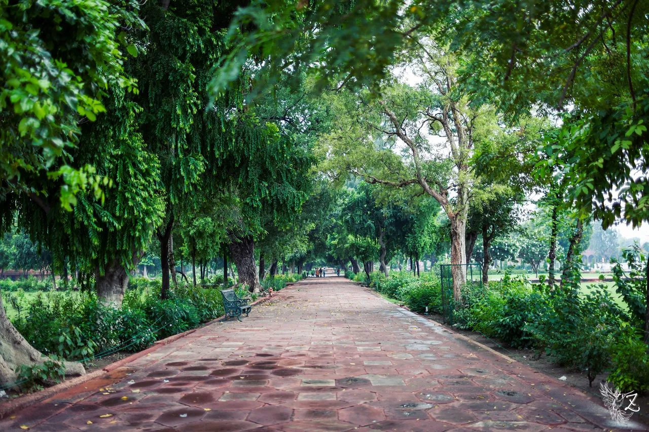 taj-mahal-35.jpg