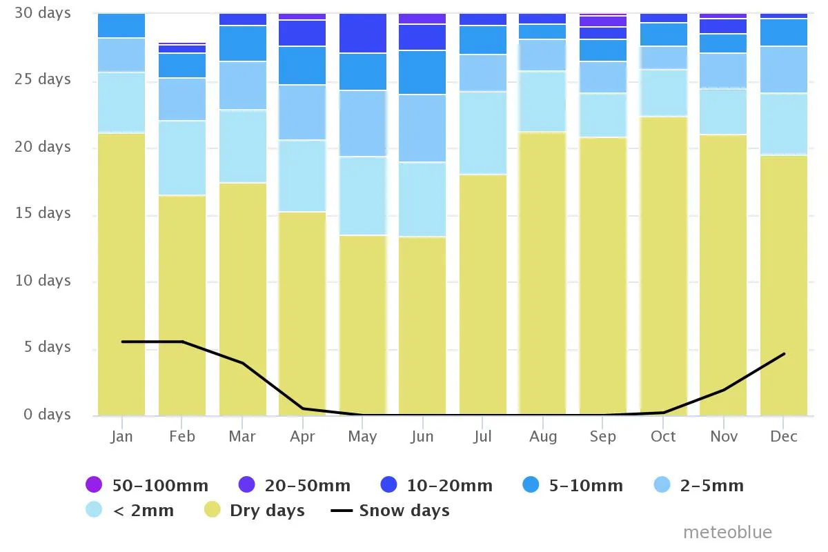 chart (5).jpeg