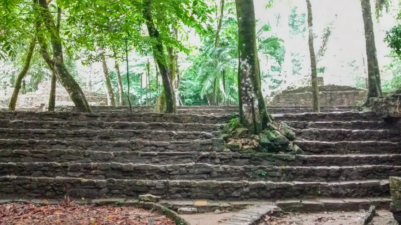 treeinstairs.jpg