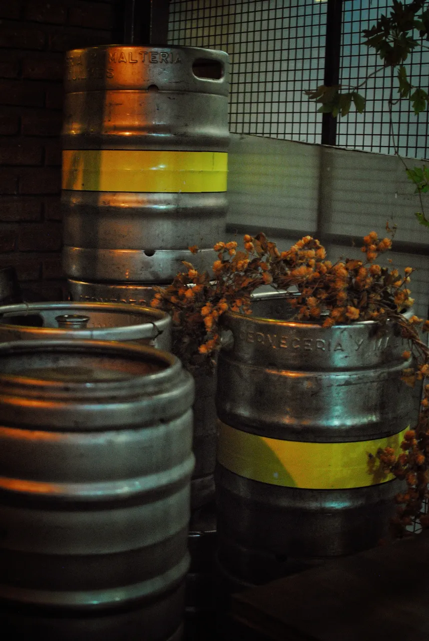 DSC_0392-01.jpeg