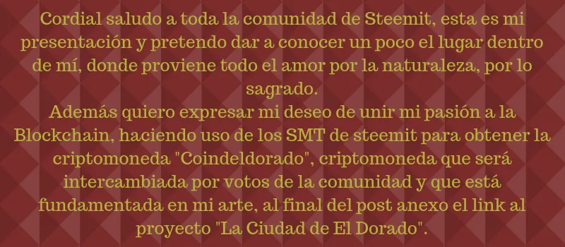 presentacion.png
